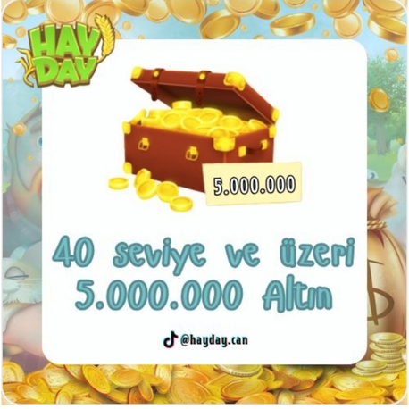 +40 lvl üstü 5 milyon altın 