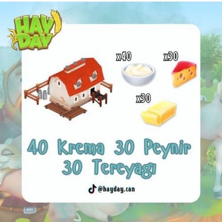 100 mandıra 