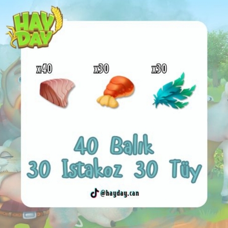 100 balık ıstakoz tüy 