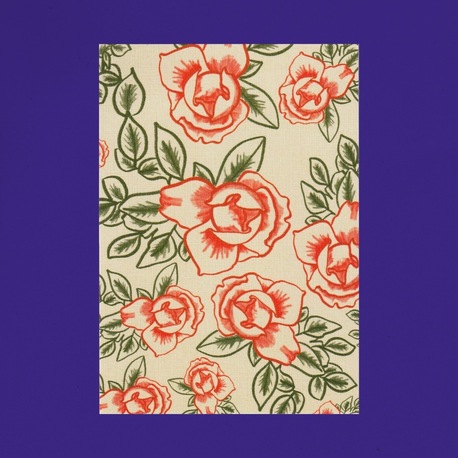 Kartpostal ✦ Güller ✦ Sticker Seti Hediyeli