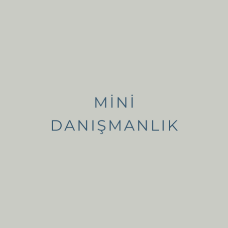 Mini Danışmanlık
