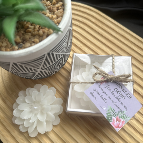 Lotus mum kutulu