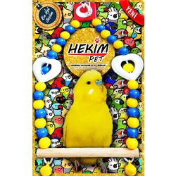 HEKİM PET Fenerbahçe Fanatik Takımlı Türk Bayraklı Salıncak Zilli Renkli Kaliteli Kuş Oyuncağı 1015