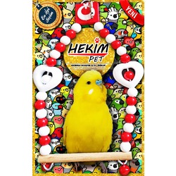 HEKİM PET Türkiye Fanatik Takımlı Türk Bayraklı Salıncak Zilli Renkli Kaliteli Kuş Oyuncağı 1015