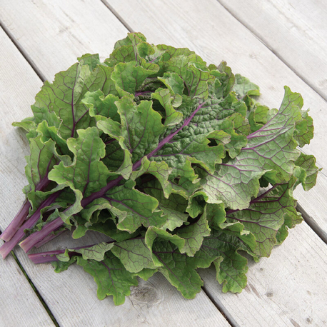 Unicorn Kale Fidesi 3 Adet