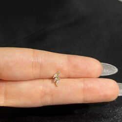 Sıralı Taş Çelik Piercing 