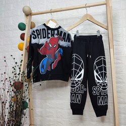 Spiderman Takım