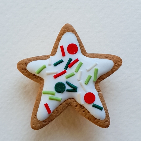 Sprinkled Star Kurabiye Broş