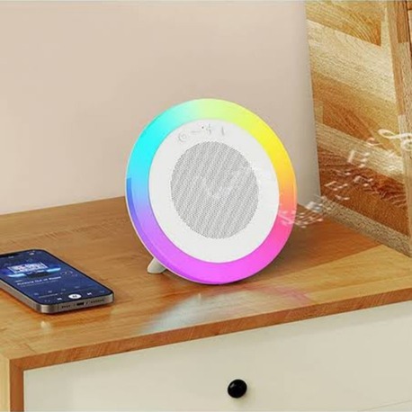 BT SPEAKER 