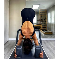 Plank Modifikasyonları