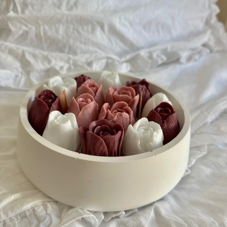 Tulip Garden – Bordo Lale Bahçesi