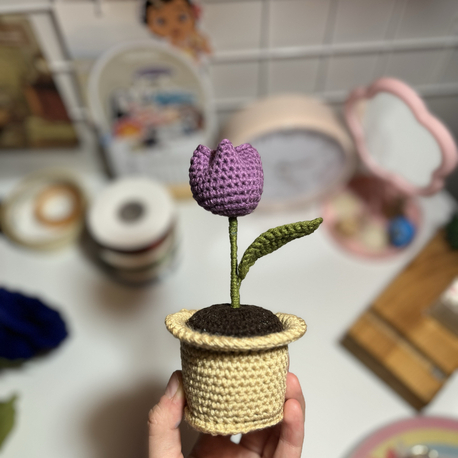 Saksı Koleksiyonu : Mor Lale