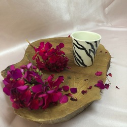 Zebra s Cup