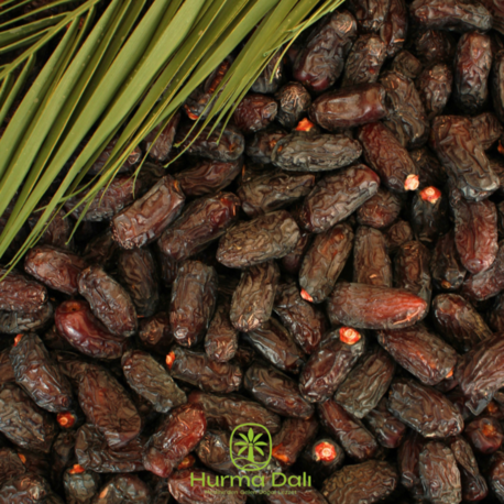 Safavi B kalite