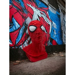 Premium Spiderman Kumbara
