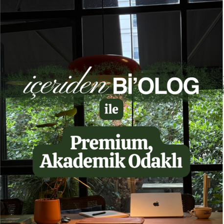 Mentorluk: Premium, Akademik Odaklı
