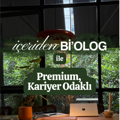 Mentorluk: Premium, Kariyer Odaklı