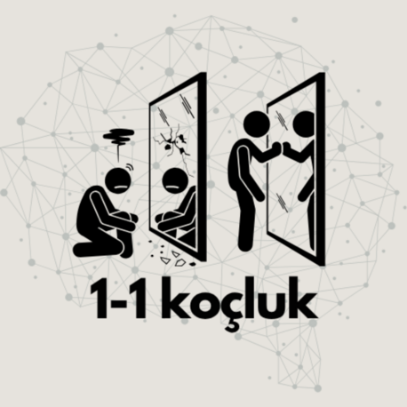 1:1 Koçluk: Kendinin CEO’su Olma Programı