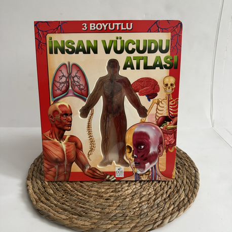 3 boyutlu İnsan Vücudu Atlası