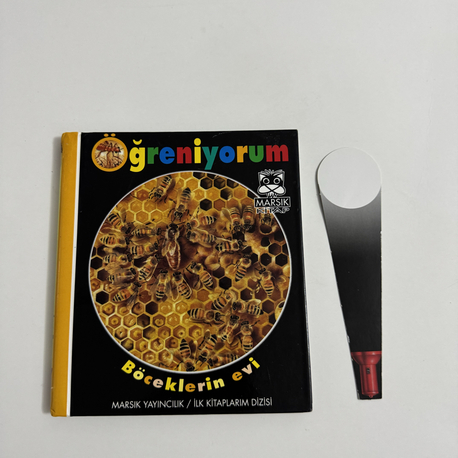 Öğreniyorum Böcekler Evi