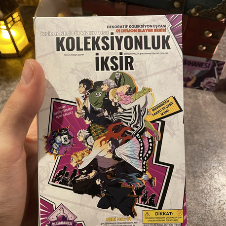 01 Demon Slayer Serisi / Koleksiyonluk İksir (BLİNDBOX)
