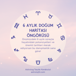 6 Aylık Öngörü Danışmanlığı