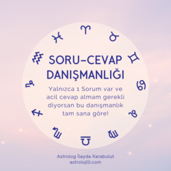 Soru-Cevap Danışmanlığı