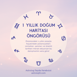 1 Yıllık Doğum Haritası Öngörüsü