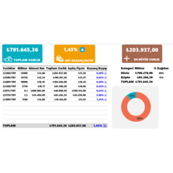 Dinamik Döviz ve Kripto Varlık Takip Programı Excel Dokümanı