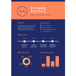 Profesyonel CV Şablonu