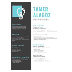 Profesyonel CV Şablonu