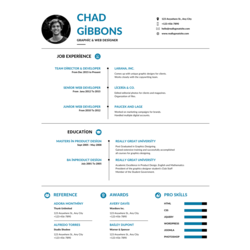 Profesyonel CV Şablonu