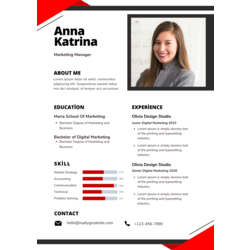 Profesyonel CV Şablonu