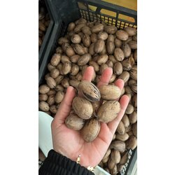 1 kg Yerli pikan cevizi 