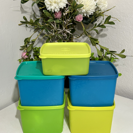 Tupperware Antartika 800 ml mavi 
