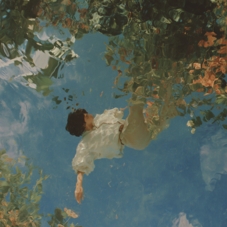 Fall of Narcissus