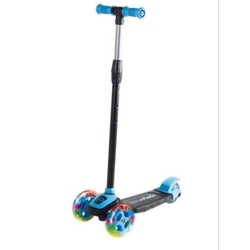 scoter
