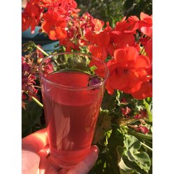 Osmanlı Gül şurubu şekersiz 500 ml