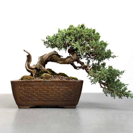 El Yapımı Stoneware Sırlı Seramik Bonsai Saksısı 16 cm