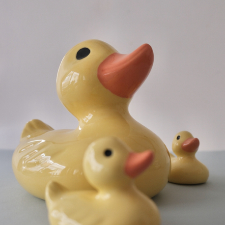 The Duck Family