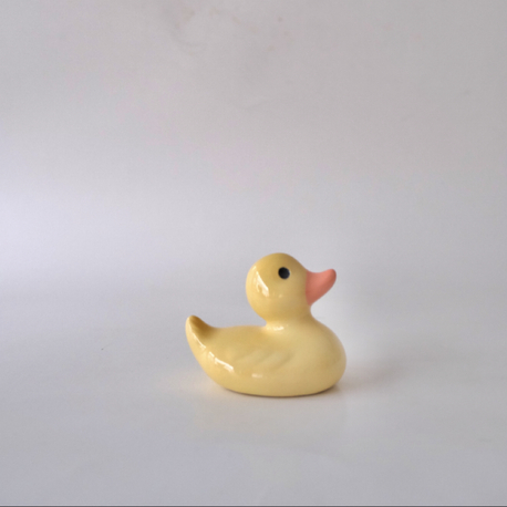 The Smol Duck 