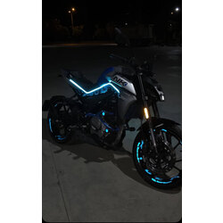 250NK NEON LED