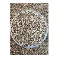  Çiğ, Kavrulmamış, Sarı Susam 1 Kg