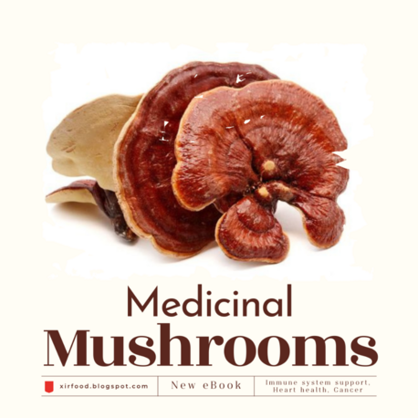 Medicinal Mushrooms | e-book