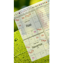 Vedik Astroloji Prensiplerine göre Doğum Haritası Analizi