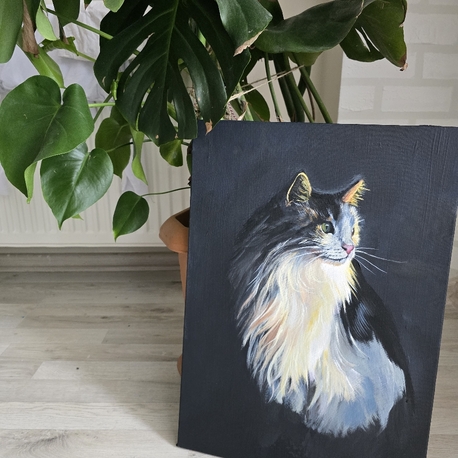 Kedi Portresi – Orijinal Akrilik Tablo | 35×50 cm