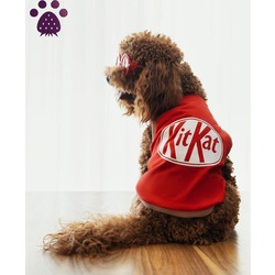 JBL KÜÇÜK IRK KÖPEK TİŞÖRT KİTKAT