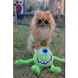 JBL KÜÇÜK IRK KÖPEK TİŞÖRT MİKE