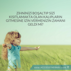 Kişisel Detox Paketi 