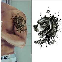 Pitbull Unisex Geçici Dövme 